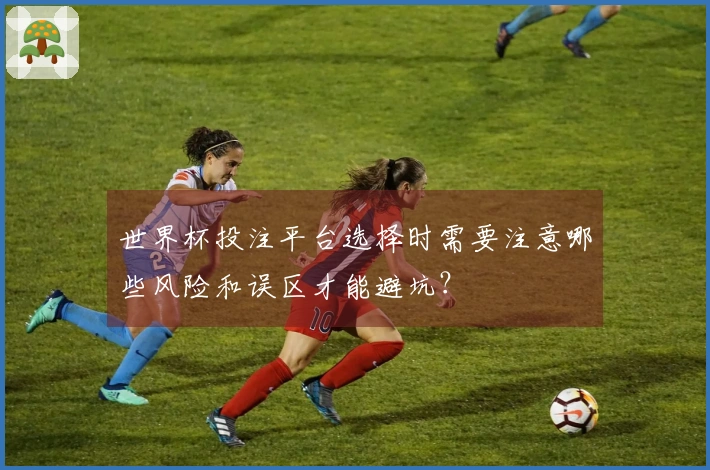 世界杯投注平台选择时需要注意哪些风险和误区才能避坑？