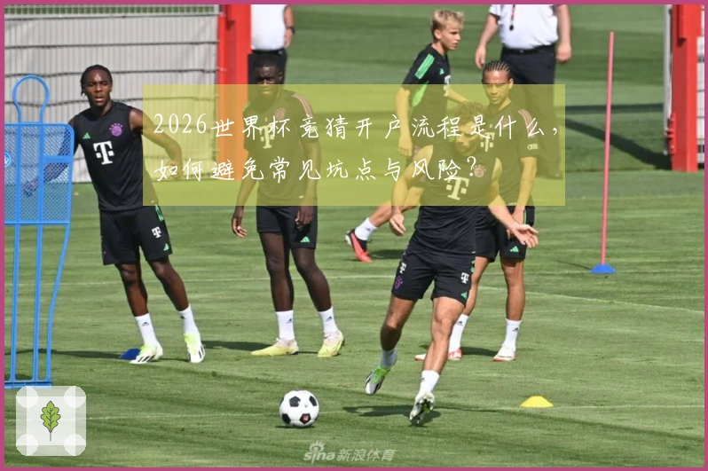 2026世界杯竞猜开户流程是什么，如何避免常见坑点与风险？