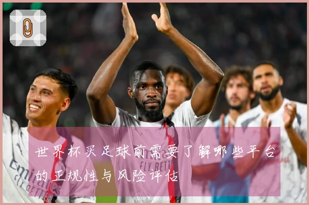 世界杯买足球前需要了解哪些平台的正规性与风险评估