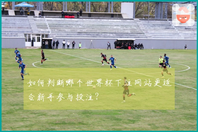 如何判断哪个世界杯下注网站更适合新手参与投注？