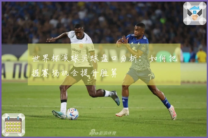 世界杯滚球买球盘口分析：如何把握赛场机会提升胜算