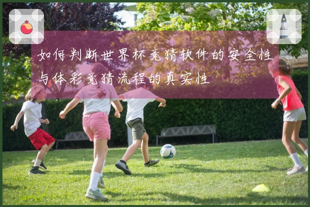 如何判断世界杯竞猜软件的安全性与体彩竞猜流程的真实性