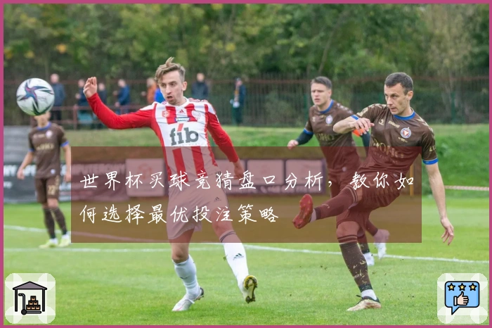 世界杯买球竞猜盘口分析，教你如何选择最优投注策略