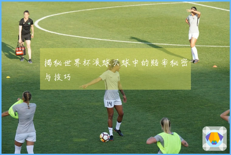 揭秘世界杯滚球买球中的赔率秘密与技巧