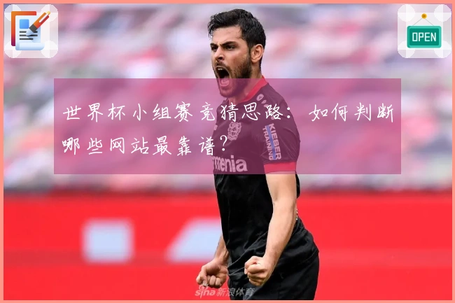世界杯小组赛竞猜思路：如何判断哪些网站最靠谱？