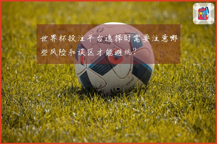 世界杯投注平台选择时需要注意哪些风险和误区才能避坑？