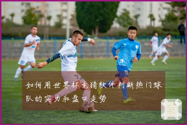 如何用世界杯竞猜软件判断热门球队的实力和盘口走势