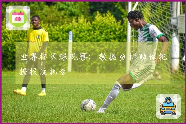 世界杯买球观察：数据分析助你把握投注机会