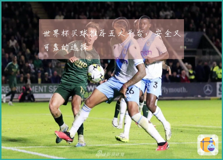 世界杯买球推荐五大平台，安全又可靠的选择