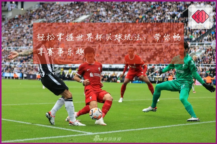 轻松掌握世界杯买球玩法，带你畅享赛事乐趣