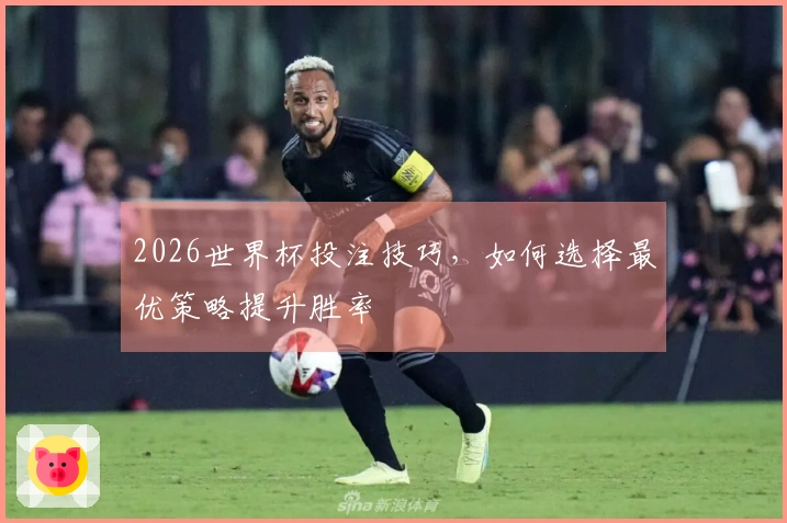 2026世界杯投注技巧，如何选择最优策略提升胜率