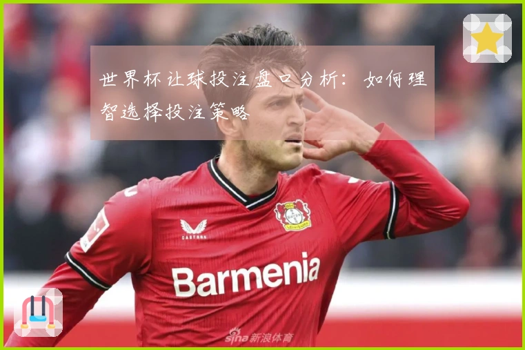 世界杯让球投注盘口分析：如何理智选择投注策略
