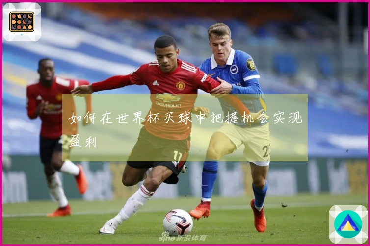 如何在世界杯买球中把握机会实现盈利