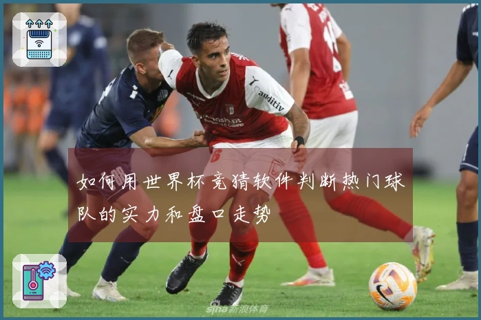 如何用世界杯竞猜软件判断热门球队的实力和盘口走势