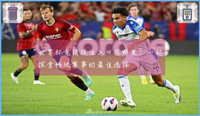 世界杯竞猜投注入口在哪里？一起探索畅玩赛事的最佳选择