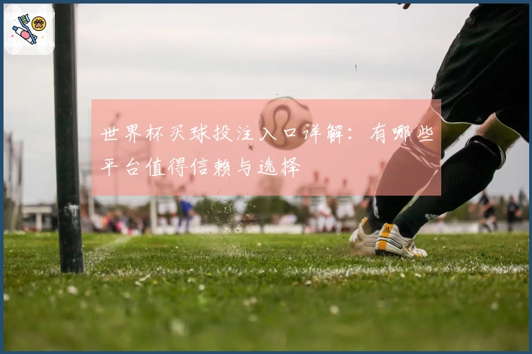 世界杯买球投注入口详解：有哪些平台值得信赖与选择
