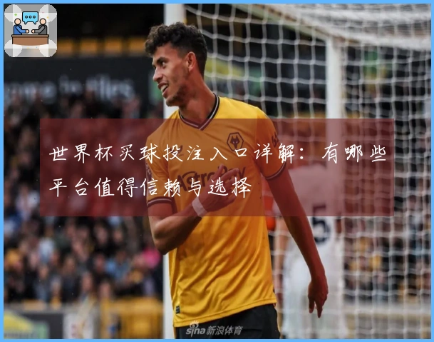世界杯买球投注入口详解：有哪些平台值得信赖与选择