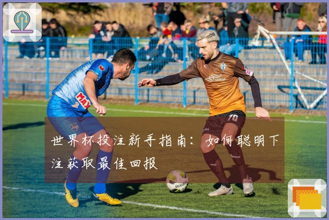 世界杯投注新手指南：如何聪明下注获取最佳回报