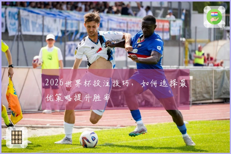 2026世界杯投注技巧，如何选择最优策略提升胜率
