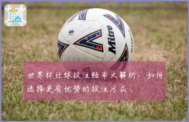 世界杯让球投注赔率大解析，如何选择更有优势的投注方式