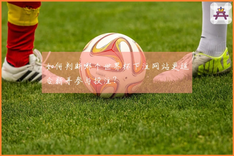 如何判断哪个世界杯下注网站更适合新手参与投注？