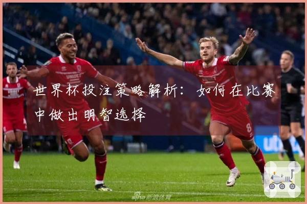 世界杯投注策略解析：如何在比赛中做出明智选择