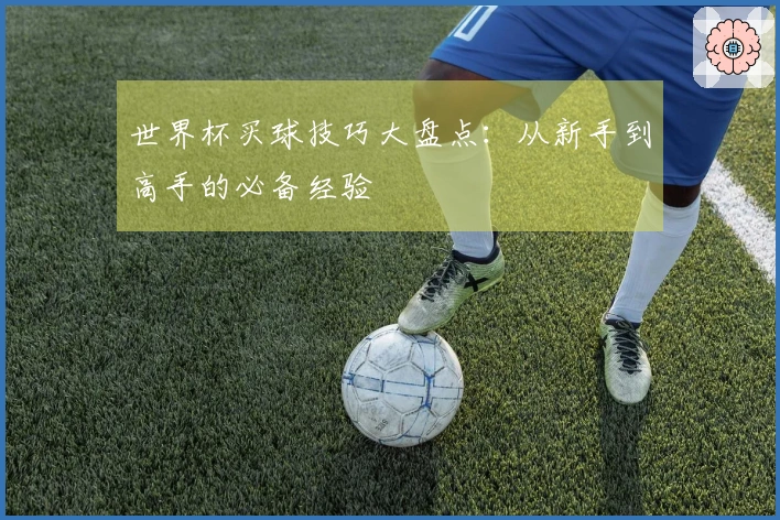 世界杯买球技巧大盘点：从新手到高手的必备经验