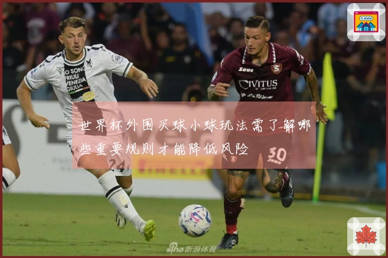 世界杯外围买球小球玩法需了解哪些重要规则才能降低风险