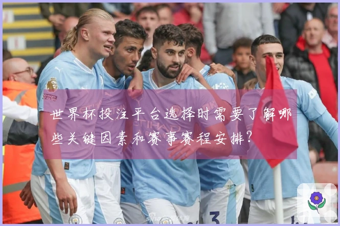世界杯投注平台选择时需要了解哪些关键因素和赛事赛程安排？