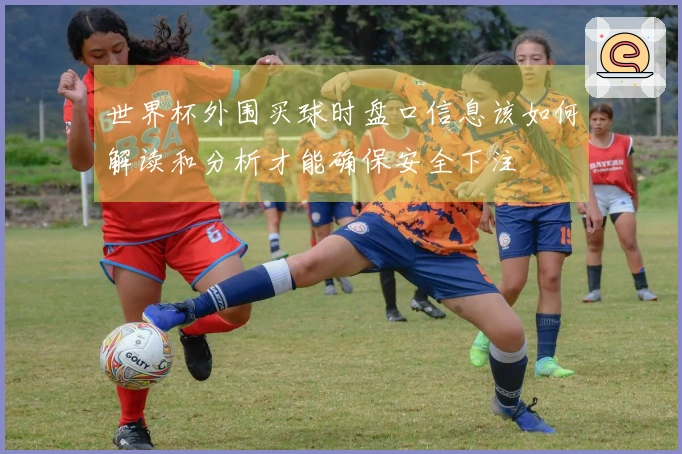 世界杯外围买球时盘口信息该如何解读和分析才能确保安全下注