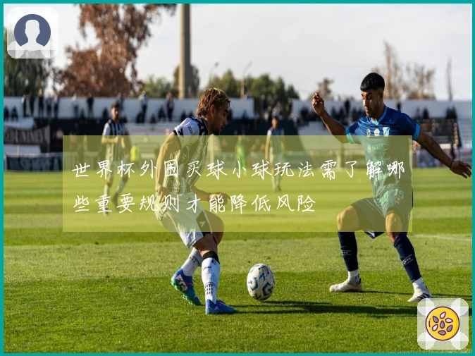 世界杯外围买球小球玩法需了解哪些重要规则才能降低风险